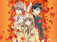 《一弦定音》与《花牌情缘》类型相似，为何差距这么大？原因在这