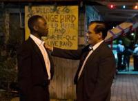 《惊奇队长》、《绿皮书》……这是组团来抢钱了？！