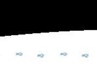 《香肠派对》高调亮相金鸡百花红毯！摘得2019互联网人气动画！