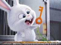 爱宠大机密：好一只傲娇的‘坏’兔子，真是让人欲罢不能