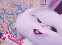 爱宠大机密：好一只傲娇的‘坏’兔子，真是让人欲罢不能