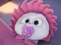 爱宠大机密：好一只傲娇的‘坏’兔子，真是让人欲罢不能