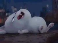 从1到2《爱宠大机密》变好还是变坏，夏日必看消暑之作