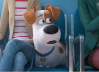 从1到2《爱宠大机密》变好还是变坏，夏日必看消暑之作