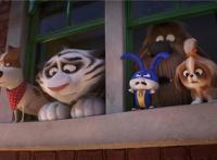 《爱宠大机密2》高能冒险宠物大集结可战可萌