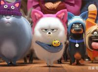 《爱宠大机密2》：别把萌当成了遮瑕笔