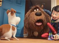 《爱宠大机密》：萌物大集合