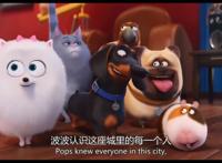 《爱宠大机密》：萌物大集合