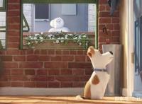 《爱宠大机密2》上映啦！你和萌宠们打过招呼了吗？