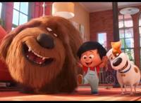 小兔拯救白虎，小狗照顾婴儿，揭秘《爱宠大机密2》人设