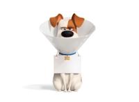 小兔拯救白虎，小狗照顾婴儿，揭秘《爱宠大机密2》人设