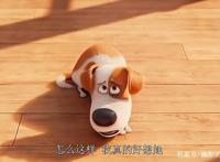 《爱宠大机密》：宠物的情感其实比人类更真实