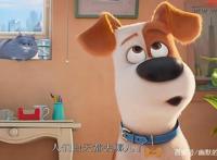 《爱宠大机密》：宠物的情感其实比人类更真实