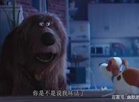 《爱宠大机密》：宠物的情感其实比人类更真实