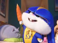 抢票！今夏最火动画片《爱宠大机密2》，请你提前看