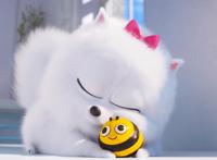 爱宠大机密2：如何当猫王，抓住“红点”，就可以成为猫中的霸主