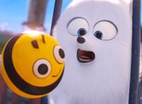 爱宠大机密2：如何当猫王，抓住“红点”，就可以成为猫中的霸主