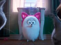 爱宠大机密2：如何当猫王，抓住“红点”，就可以成为猫中的霸主