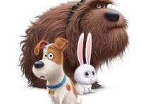 《爱宠大机密》：怎能用一个“萌”字来概括