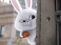 《爱宠大机密》：怎能用一个“萌”字来概括