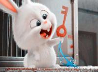 爱宠大机密：当兔子骑上蝙蝠车，变身蝙蝠侠，它就是这条街的靓仔