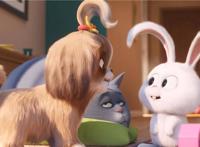 《爱宠大机密2》曝光配音特辑马丽变身萌宠黛西