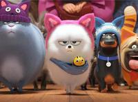 郭采洁献声《爱宠大机密2》演绎鬼灵精怪的啾啾