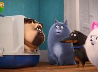 《爱宠大机密2》“萌宠”担当绝对主角，挺身救小主人