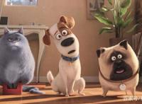 《爱宠大机密》：小白兔的反差萌，告诉大家什么是小动物大智慧