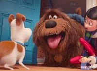 《爱宠大机密》：小白兔的反差萌，告诉大家什么是小动物大智慧