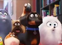 《爱宠大机密》萌得让电影本身失去存在感