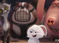 《爱宠大机密》萌得让电影本身失去存在感