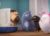 《爱宠大机密2》，一场新的宠物冒险，探索人宠之间的复杂感情