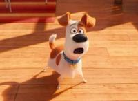 《爱宠大机密2》，一场新的宠物冒险，探索人宠之间的复杂感情