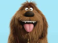 《爱宠大机密2》，一场新的宠物冒险，探索人宠之间的复杂感情