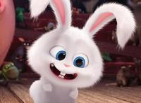 《爱宠大机密2》，一场新的宠物冒险，探索人宠之间的复杂感情