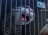 爱宠大机密2：动漫上映没多久就凉了，宝岛不见的镜头正好撞枪口