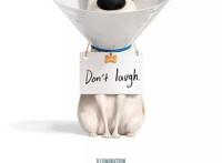 《爱宠大机密2》：这是一部拍给大人看的动画电影