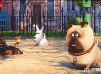 《爱宠大机密》与《玩具总动员》的相似之处