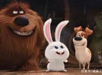 《爱宠大机密》与《玩具总动员》的相似之处