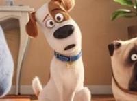 《爱宠大机密》与《玩具总动员》的相似之处