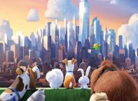 《爱宠大机密》：治愈系动画，你的宠物在想什么？