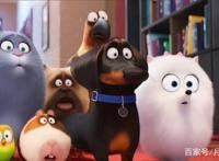 《爱宠大机密》：治愈系动画，你的宠物在想什么？