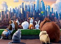 爱宠大机密：最出彩的不是主角，而是只兔子？还不是反差萌惹的祸