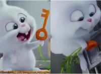 爱宠大机密：最出彩的不是主角，而是只兔子？还不是反差萌惹的祸