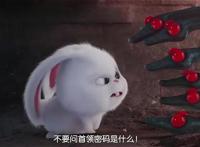 爱宠大机密：最出彩的不是主角，而是只兔子？还不是反差萌惹的祸