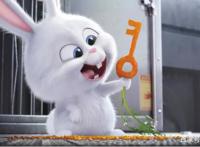 萌出水的动画电影——《爱宠大机密》