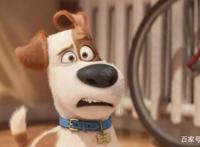 萌出水的动画电影——《爱宠大机密》
