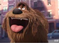 萌出水的动画电影——《爱宠大机密》