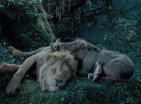 靠《魔弦传说》爆红的“小公司”，拍出的新作比《狮子王》更好看